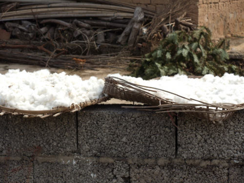 Cotton.